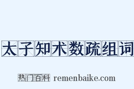 太子知术数疏组词是什么意思的图片
